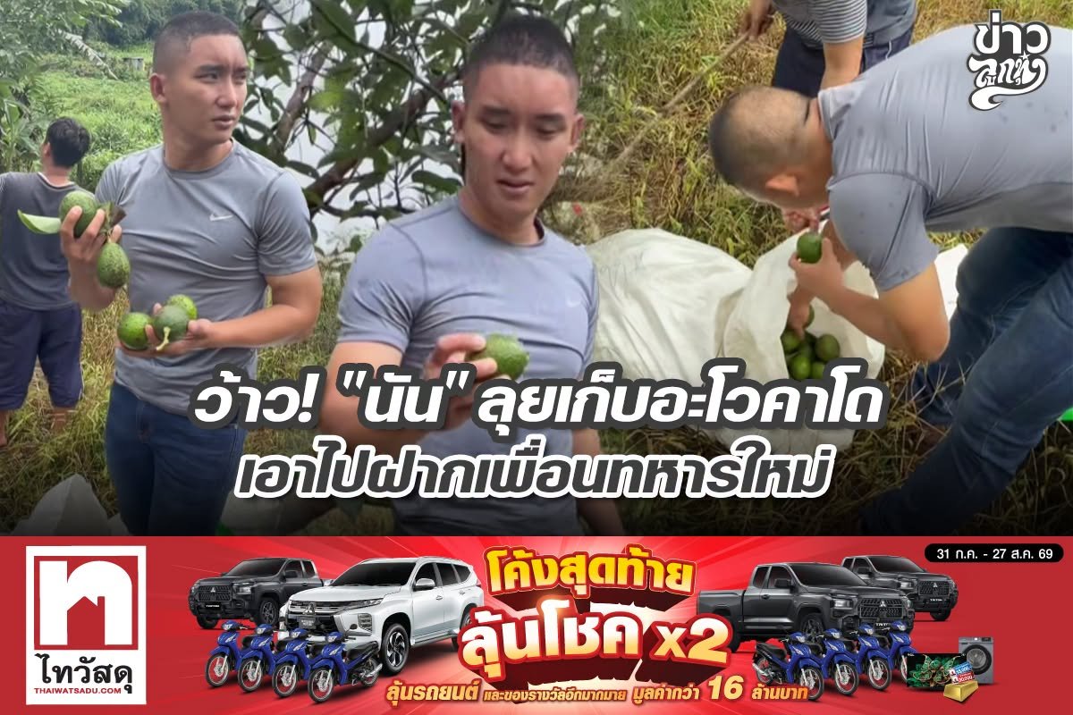 ว้าว! "นัน" ลุยเก็บอะโวคาโดเอาไปฝากเพื่อนทหารใหม่