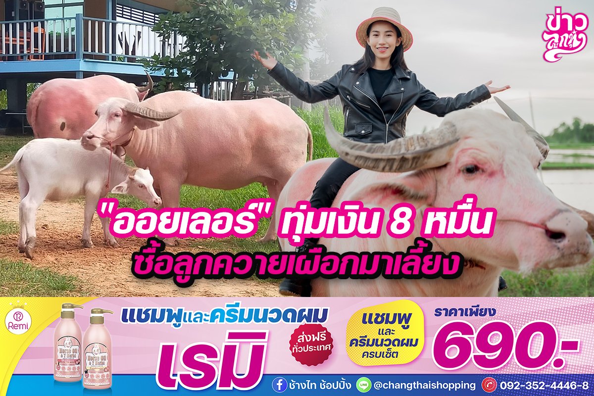 "ออยเลอร์"ทุ่มเงิน 8 หมื่น ซื้อลูกควายเผือกมาเลี้ยง