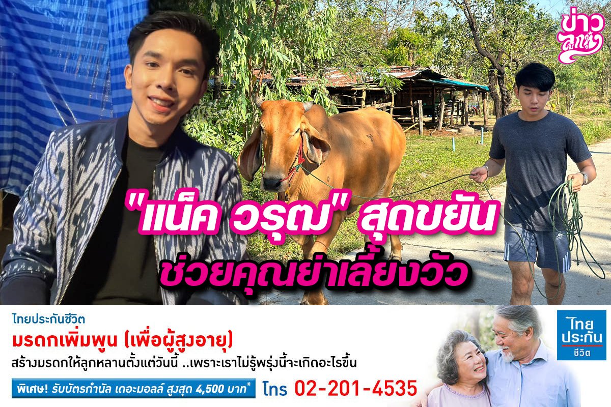 "แน็ค วรุฒ" สุดขยัน ช่วยคุณย่าเลี้ยงวัว "แน็ค วรุฒ" สุดขยัน ช่วยคุณย่าเลี้ยงวัว