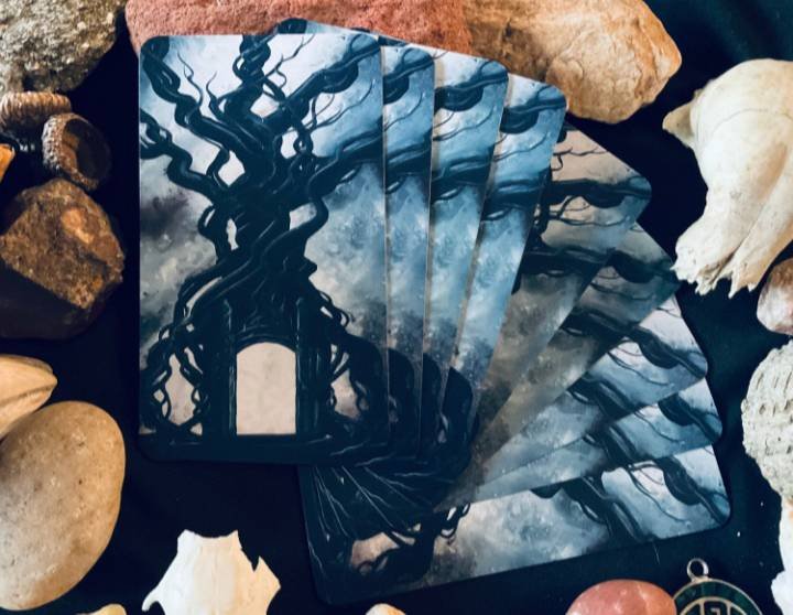 WISDOM OF THE RAVEN ORACLE DECK