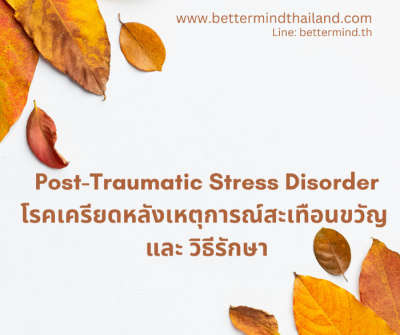 เข้าใจโรคเครียดหลังเหตุการณ์สะเทือนขวัญ Understanding Post-Traumatic Stress Disorder เข้าใจโรคเครียดหลังเหตุการณ์สะเทือนขวัญ Understanding Post-Traumatic Stress Disorder