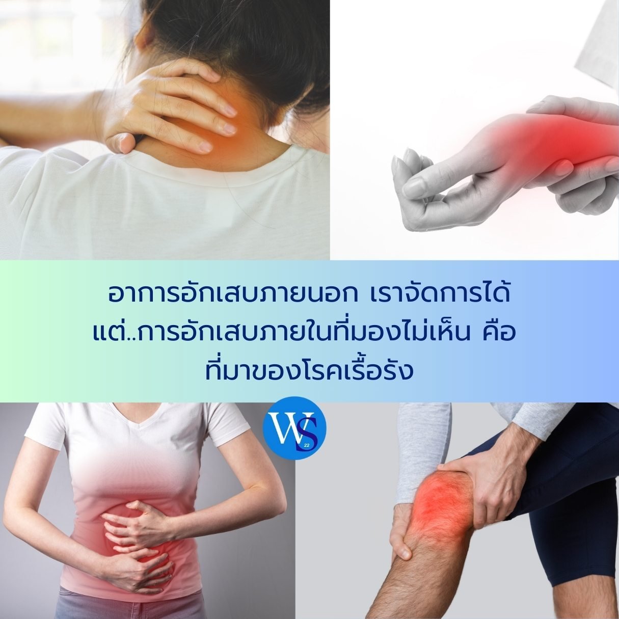 1.ฤทธิ์ต้านการอักเสบ