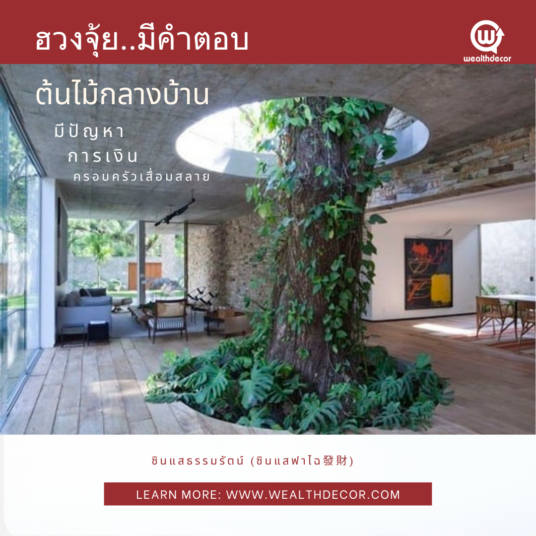 feng_shui_64_gua_ต้นไม้ตัดสวรรค์_ต้นไม้กลางบ้าน  feng_shui_64_gua_ต้นไม้ตัดสวรรค์_ต้นไม้กลางบ้าน
