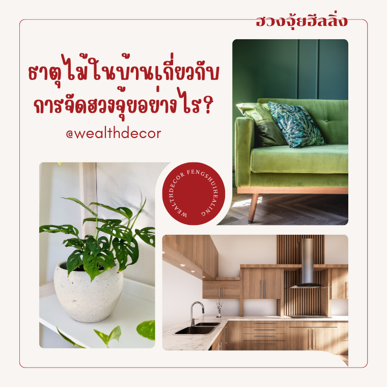 ธาตุไม้ในบ้านสอดคล้องกับฮวงจุ้ยหรือไม่? ธาตุไม้ในบ้านสอดคล้องกับฮวงจุ้ยหรือไม่?