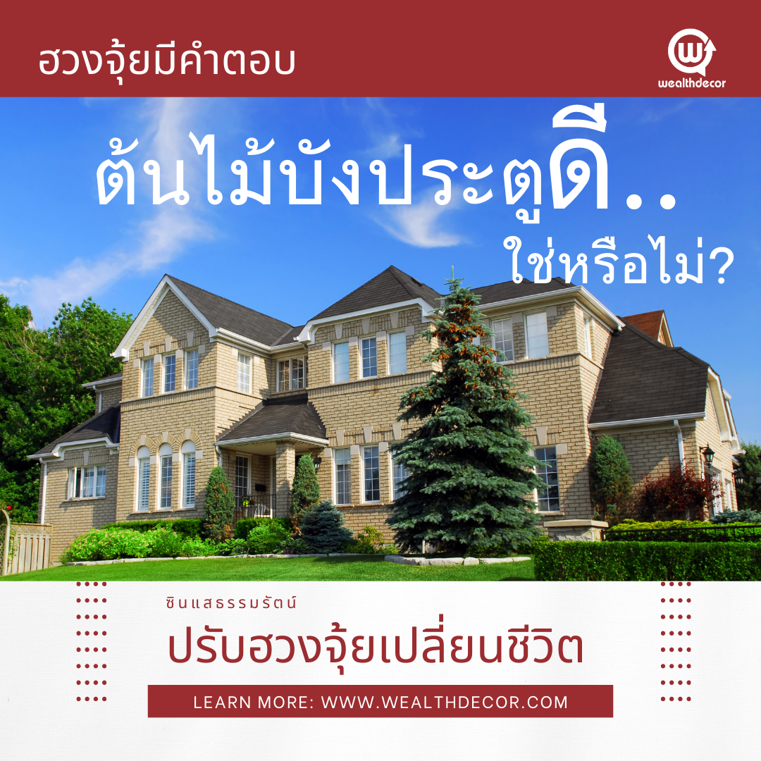 ฮวงจุ้ยมีคำตอบ_ต้นไม้บังประตู_ไม่ดี_ใช่หรือไม่ ฮวงจุ้ยมีคำตอบ_ต้นไม้บังประตู_ไม่ดี_ใช่หรือไม่