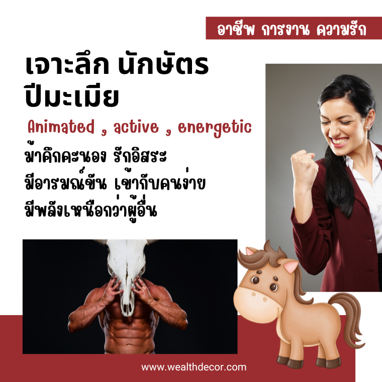 เจาะลึก นักษัตรปีมะเมีย ม้า (马 Mǎ) ม้าคึกคนอง รักอิสระ  เจาะลึก นักษัตรปีมะเมีย ม้า (马 Mǎ) ม้าคึกคนอง รักอิสระ