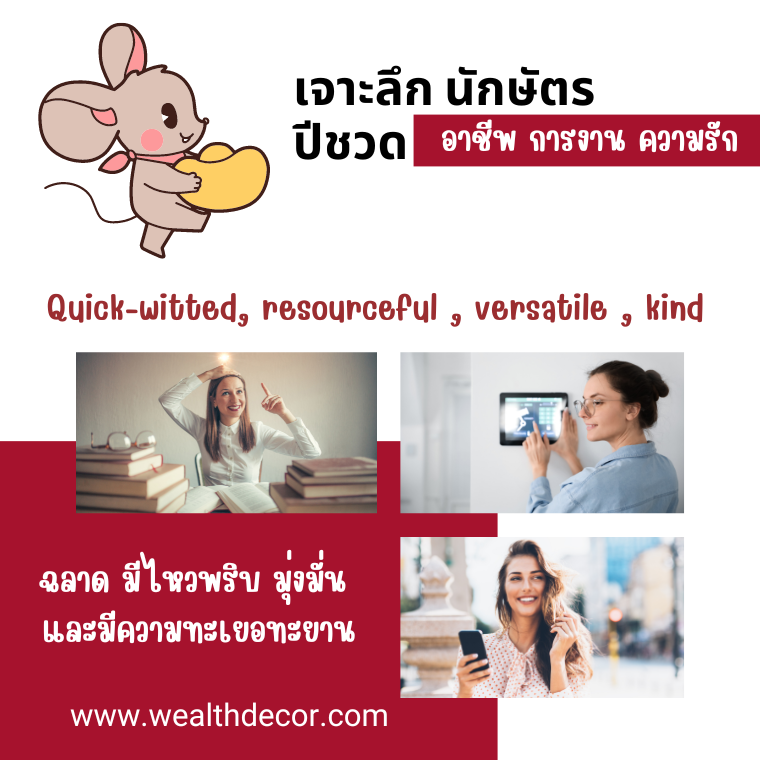 เจาะลึก นักษัตรปีชวด หนูฉลาด อาชีพ การงาน ความรัก เจาะลึก นักษัตรปีชวด หนูฉลาด อาชีพ การงาน ความรัก