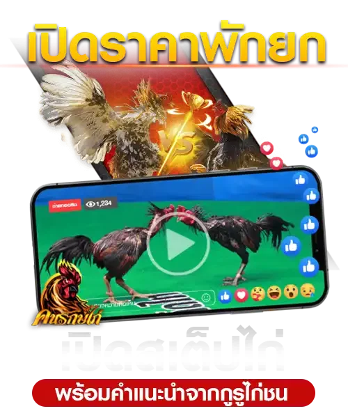 สเต็ปไก่ชน