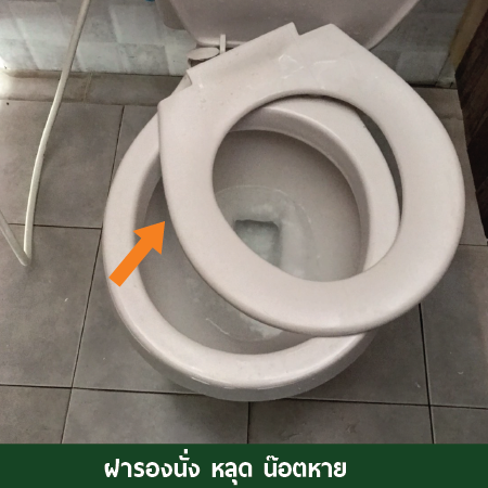 ฝารองนั่งหลุด ฝารองนั่งหลุด , น๊อตฝารองนั่ง , อะไหล่ฝารองนั่ง