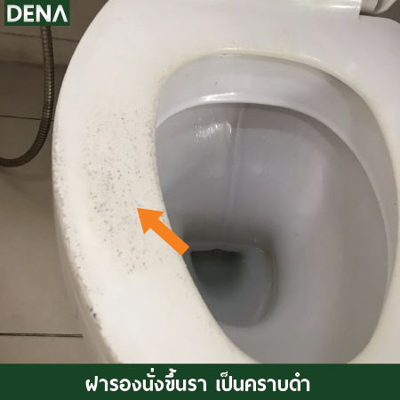 ฝารองนั่งราขึ้น ฝารองนั่งราขึ้น , ฝารองนั่งดำ , ฝารองนั่งชำรุด