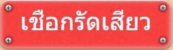 เชือกรัดเสียว โซ่แส้กุญแจมือ