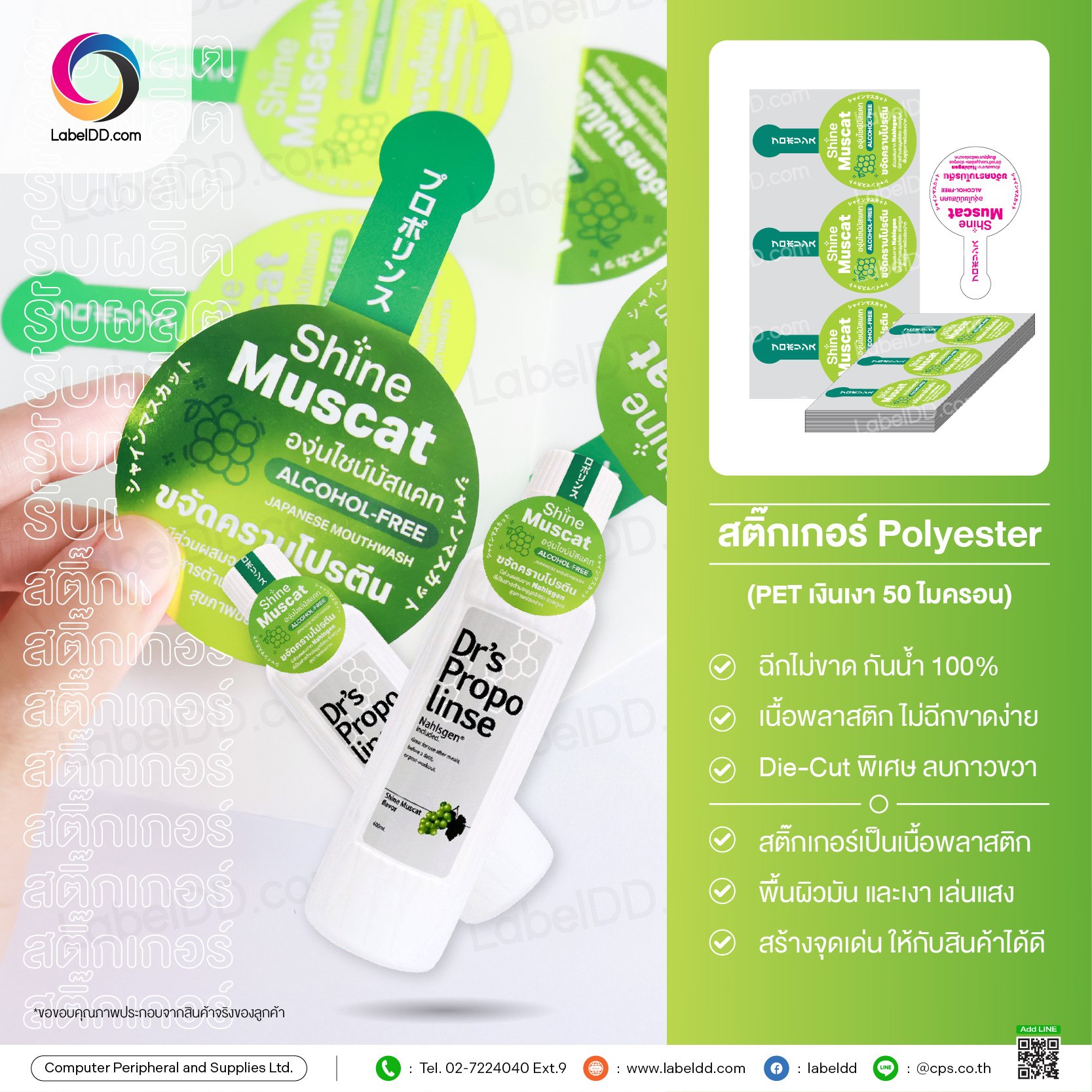 สติ๊กเกอร์ Polyester Die-Cut พิเศษ (PET เงินเงา 50 ไมครอน)