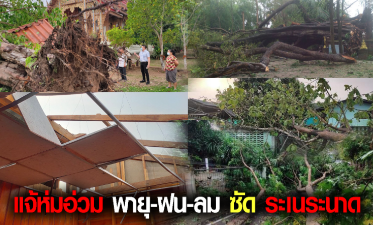 พายุฝนลมลูกเห็บกระหน่ำ แจ้ห่ม-อ่วม พื้นที่เสียหายหนัก ต้นโพธิ์ตามวัดหลายแห่งล้มระเนระนาด