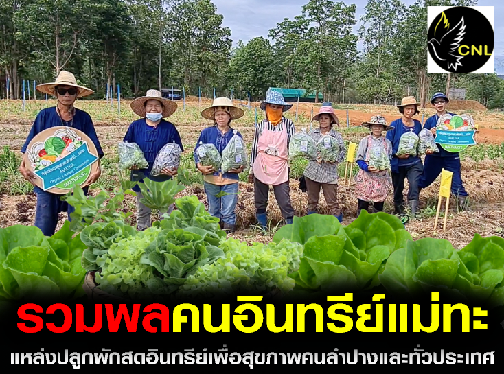 เตรียมพบกับ ผักอินทรีย์เพื่อสุขภาพ สด-ใหม่จากสวน "รวมพลคนอินทรีย์แม่ทะ" พร้อมเตรียมช้อปได้ที่ สวนเฮือนจันทร์(หัวเวียง) เร็วๆนี้