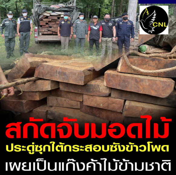เจ้าหน้าที่ไล่สกัดจับมอดไม้แก็งค์ค้าไม้ข้ามชาติแอบซุกไม้ประดู่ใต้กระสอบปุ๋ยซังข้าวโพดข้ามจังหวัดแต่ไม่รอด