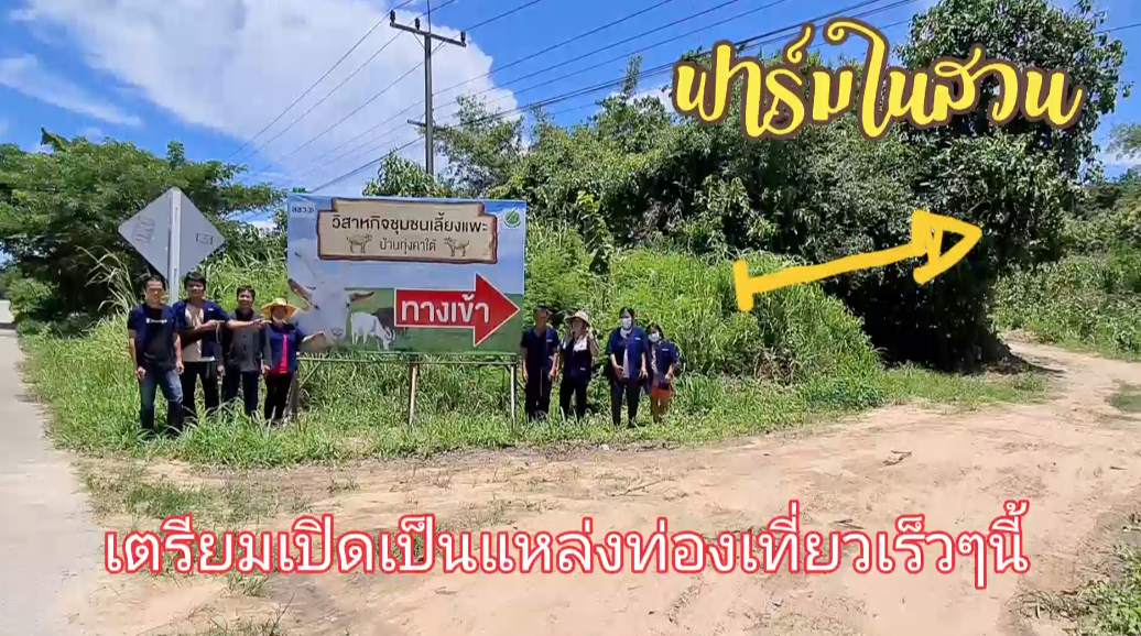 ประธานสภาเกษตรกรฯย้ำ!!! เลี้ยงแพะสามารถสร้างฐานรากที่แข็งแรงให้เกษตรกรได้จริง-ลงทุนน้อย-คืนทุนเร็ว-เลี้ยงง่าย-ขอรัฐบาลสานต่อและสนับสนุน