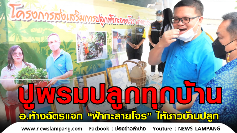 อำเภอห้างฉัตรนำร่อง-ปูพรมแจกต้นกล้าฟ้าทะลายโจรให้ทุกบ้านปลูกไว้เป็นสมุนไพรป้องกันโควิด-19