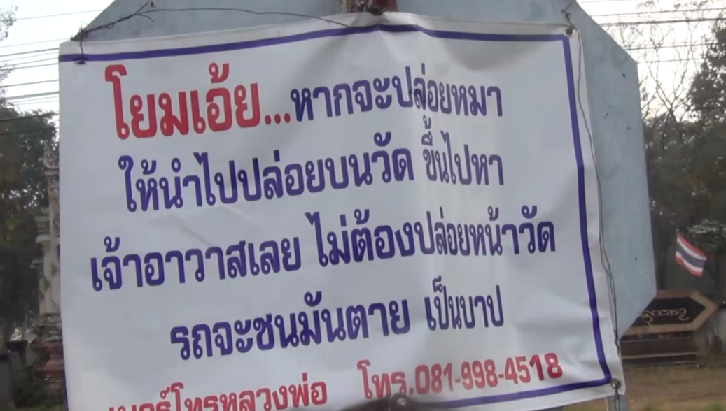 เจ้าอาวาสปิดป้ายเตือน-ห้ามนำสุนัขมาปล่อยหน้าวัด-หลังพบสุนัขที่นำมาทิ้งถูกรถชนตาย