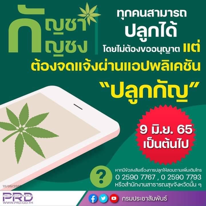 อย. เผย หลังปลดล็อกกัญชา กัญชง พ้นจากยาเสพติด ซึ่งมีผลในวันที่ 9 มิ.ย. 65 ทุกคนปลูกได้ โดยไม่ต้องขออนุญาต เพียงจดแจ้งผ่านแอปพิเคชั่น "ปลูกกัญ" 