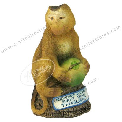 Monkey with coconut