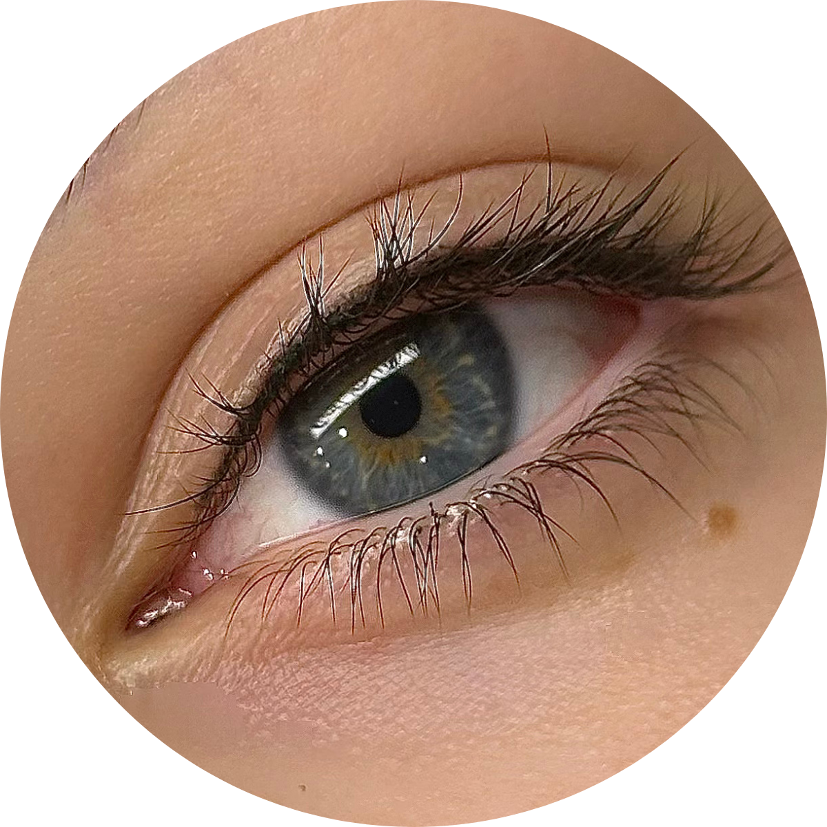 Inner lip blush tattoo by Madam Studio Bangkok, creating a soft natural color inside the lips for a youthful look.