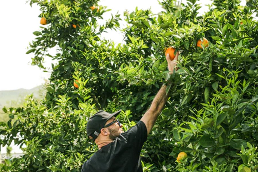 Seeking sustainable and healthy food supply Seeking sustainable and healthy food supply