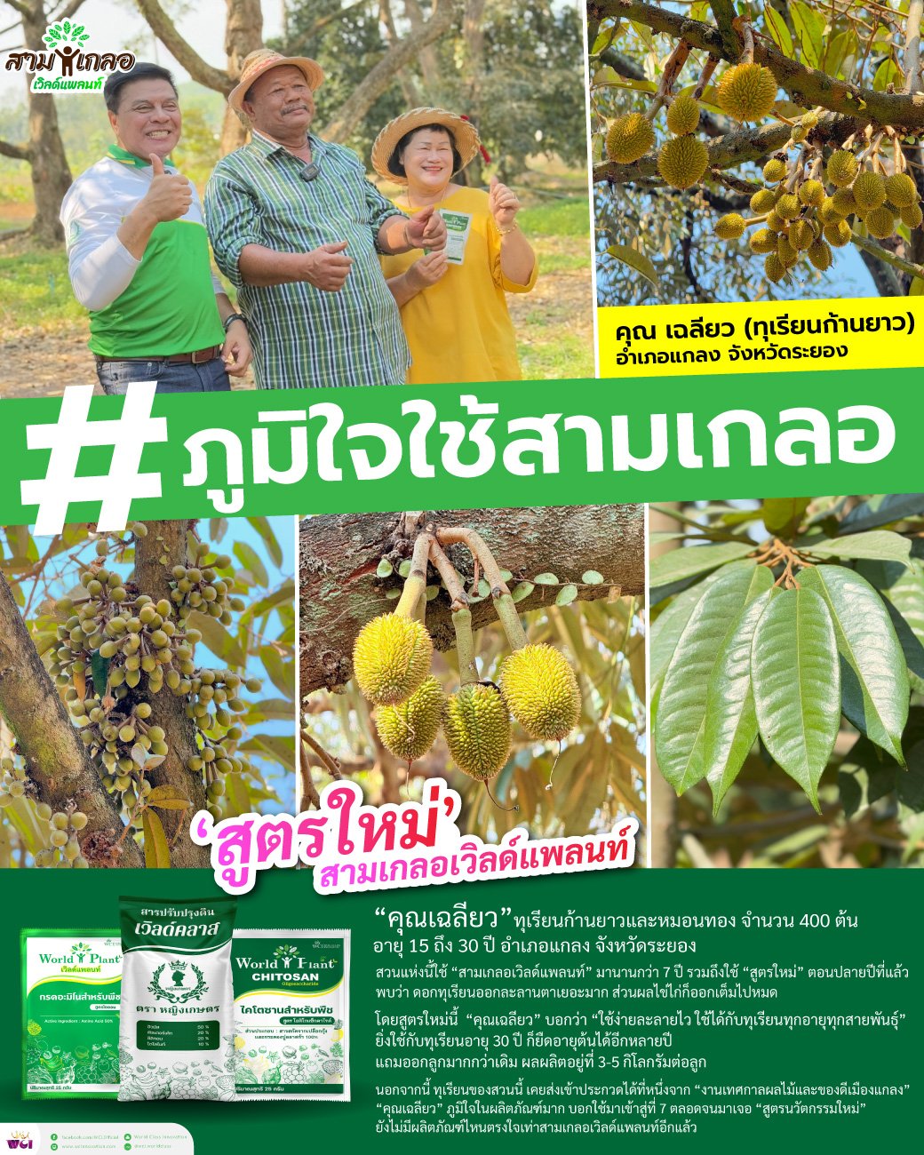 ฟื้นฟูดิน พืชงามไว