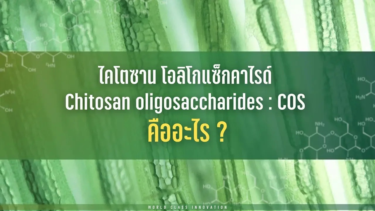 Chitosan Oligosaccharides (COS) คืออะไร
