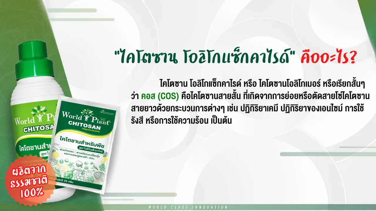 ไคโตซานโอลิโกแซ็กคาไรด์ คืออะไร