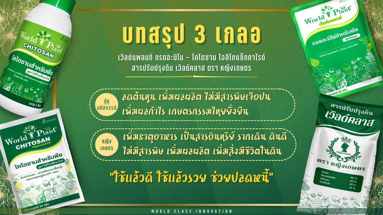 บทสรุป 3 เกลอ เวิลด์แพลนท์ ช่วยลดต้นทุนเพิ่มผลผลิต ช่วยเพิ่มธาตุอาหารเพิ่มสารอินทรีย์ ใช้แล้วดี ใช้แล้วรวย ช่วยปลดหนี้