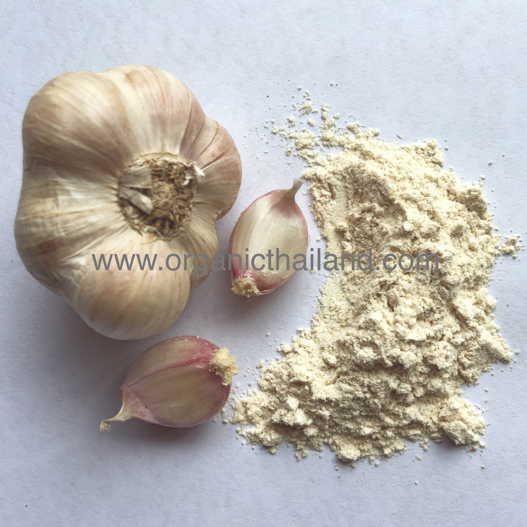 Garlic Powder 1kg