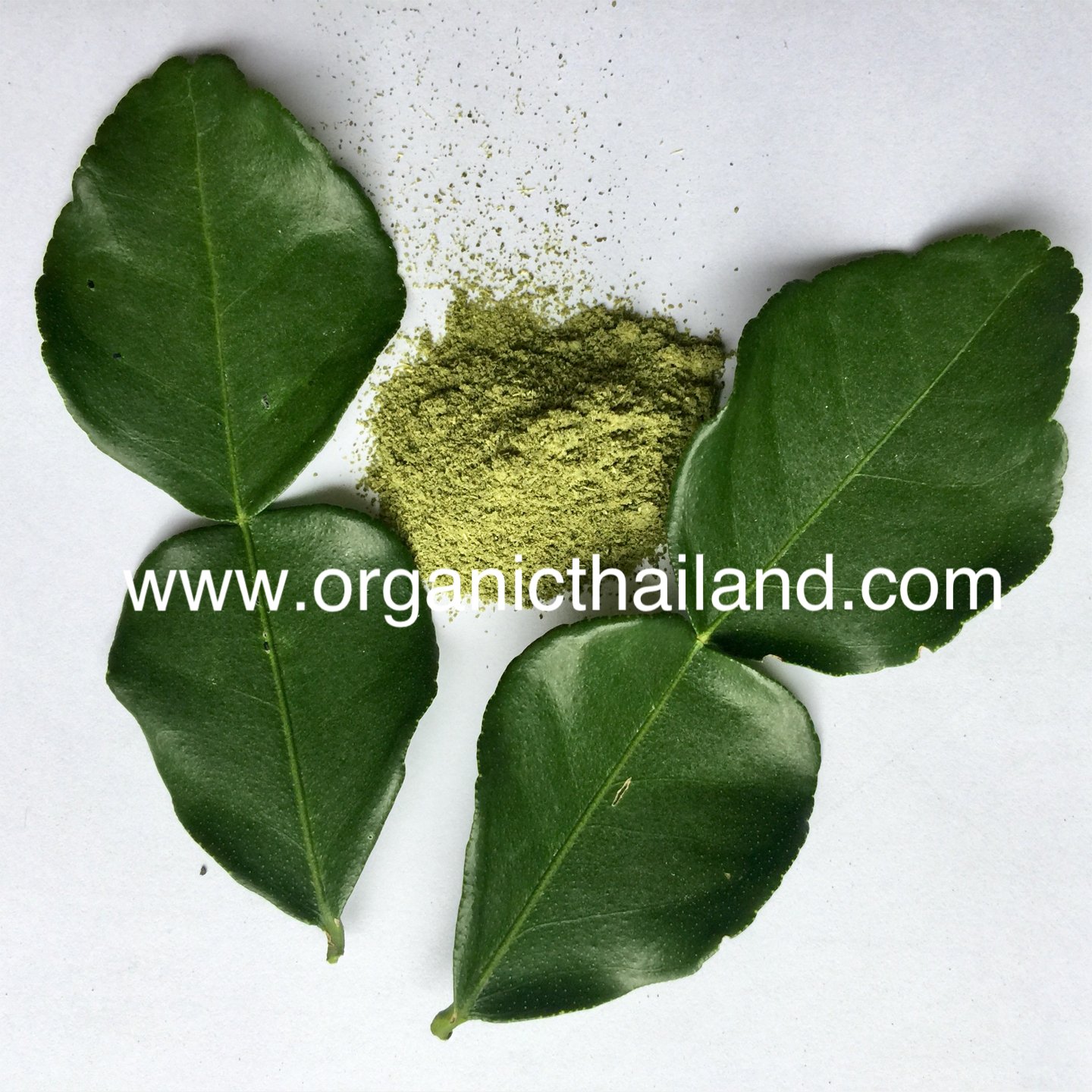 Kaffir Lime Leaf Powder 1kg