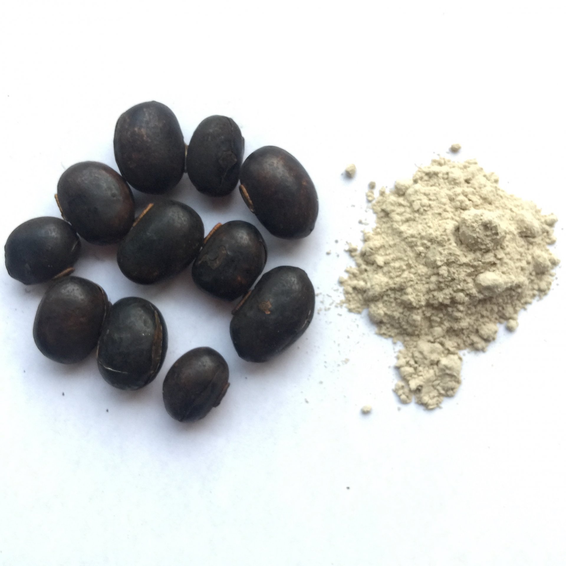 Mucuna Pruriens Seed Powder 1kg