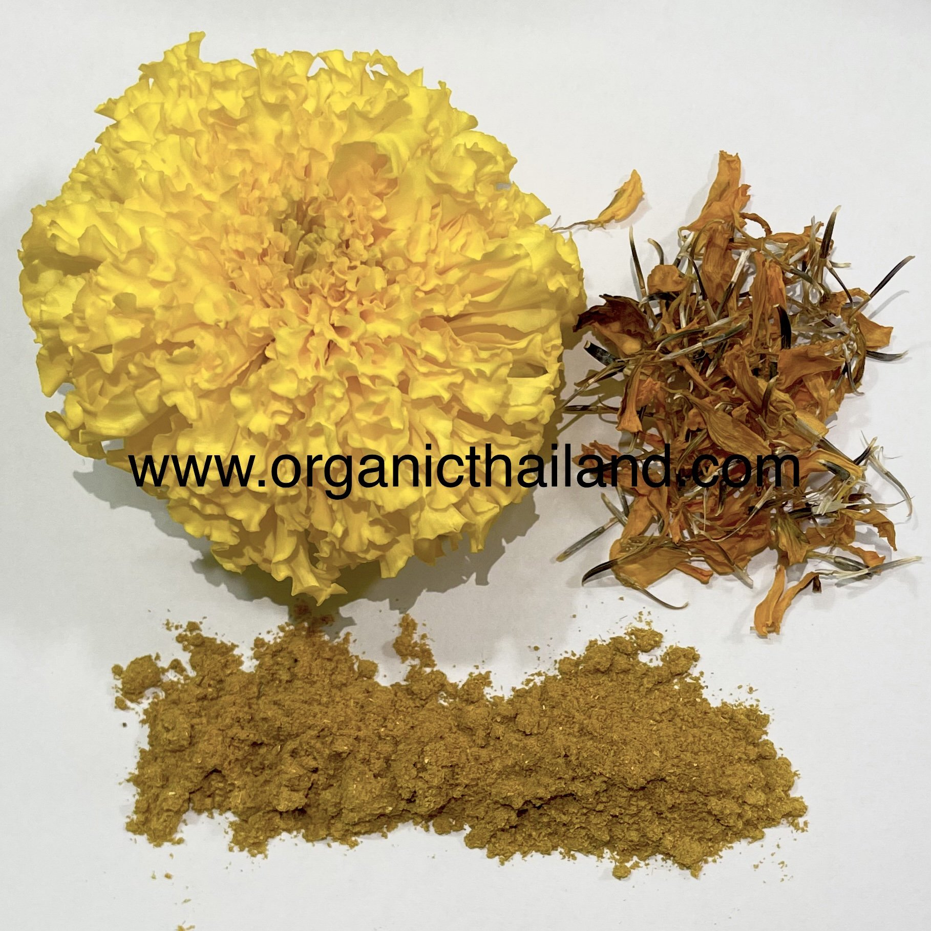 What Is Flower Powder Made Of at Samuel Truelove blog