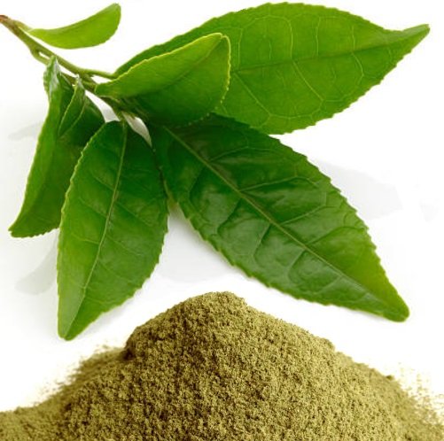 Thai Green Tea Powder 1kg Organicthailand thai-green-tea-powder-1kg-organicthailand