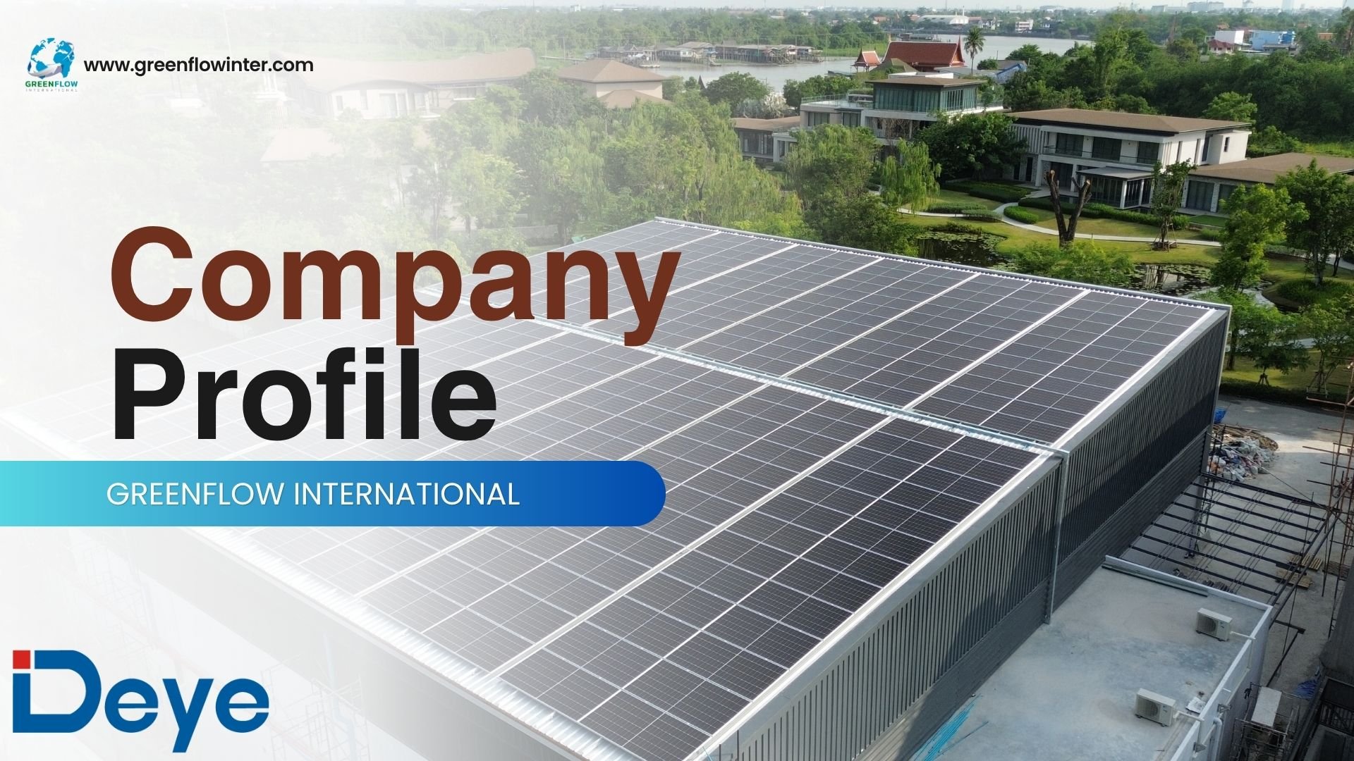Company Profile " Deye "