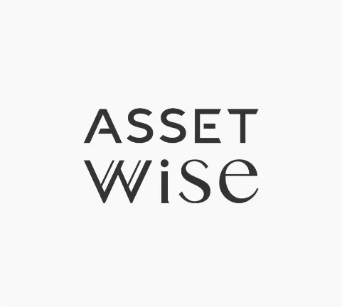 Asset Wise