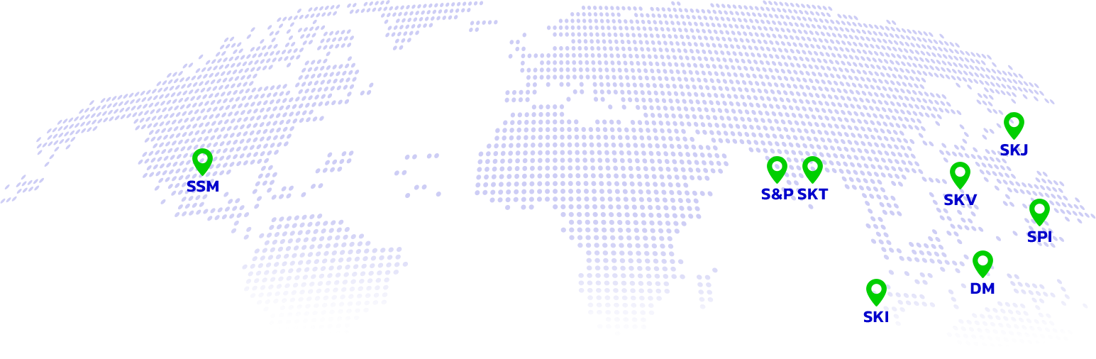 Surtec Kariya Group Structure Surtec Kariya Group Structure