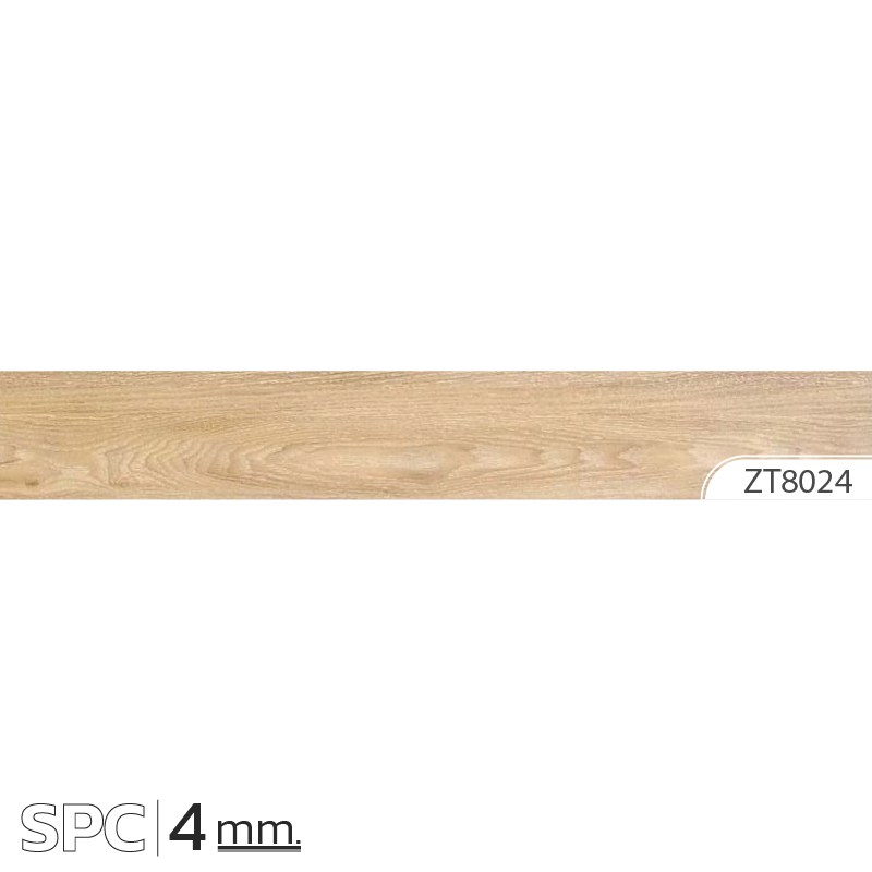 ZT8024
