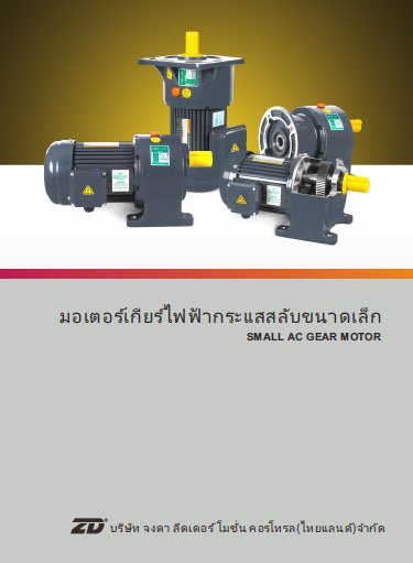 ZD-Motor-motorgear