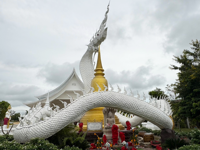 วัดป่าธรรมานุสรณ์ สุรินทร์ 