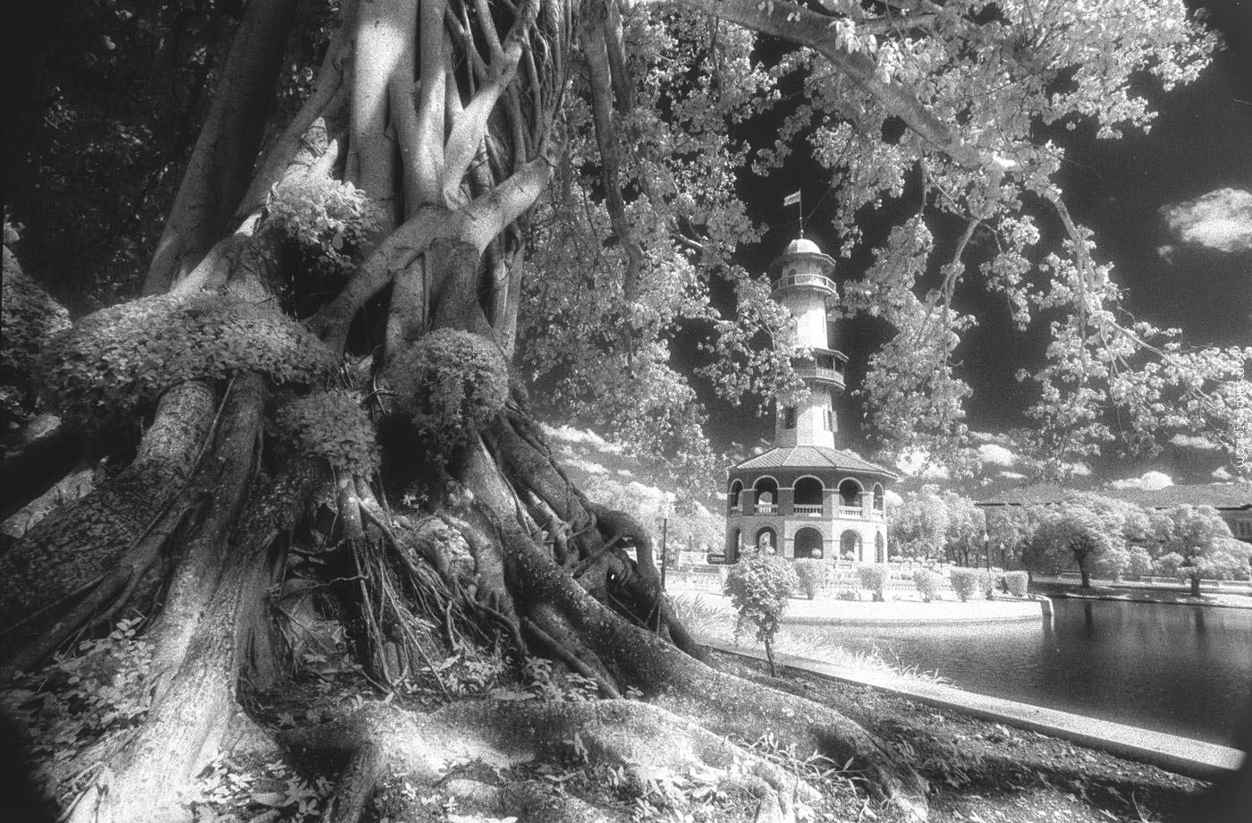 ช่วงกำลังฝึกถ่ายด้วยฟิลม์ Infrared 