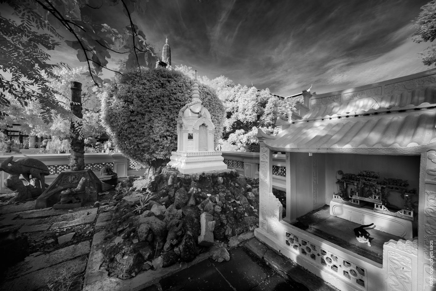 ท่ามกลางแสงสีแดงผสมสีต่างๆ และรวมกับแสงที่มองไม่เห็น ...Infrared Photography แต่ทั้งหมด เป็นเพียงจุดเริ่มต้นของการเดินทาง....