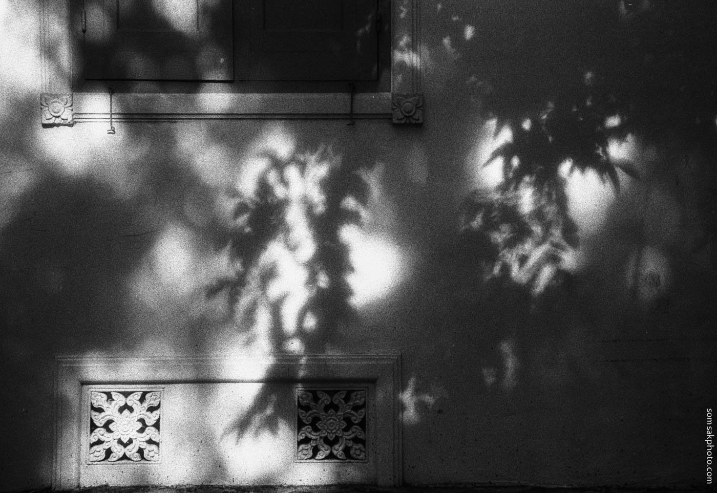 หน้าต่างสู่ความร่มรื่น  ในชุด ผลงาน เมืองกรุง เมืองเทพ  #infrared #film