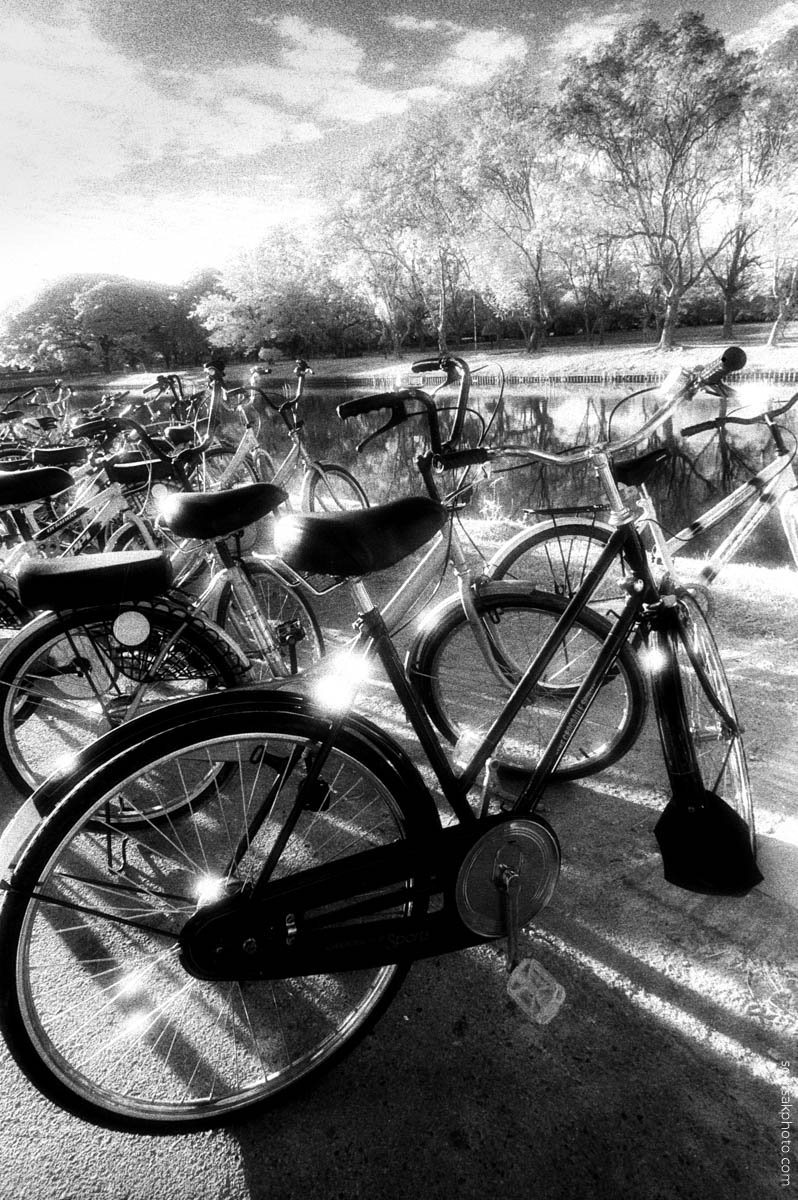 สุโขทัยยามเช้า  #infrared #film #สุโขทัย