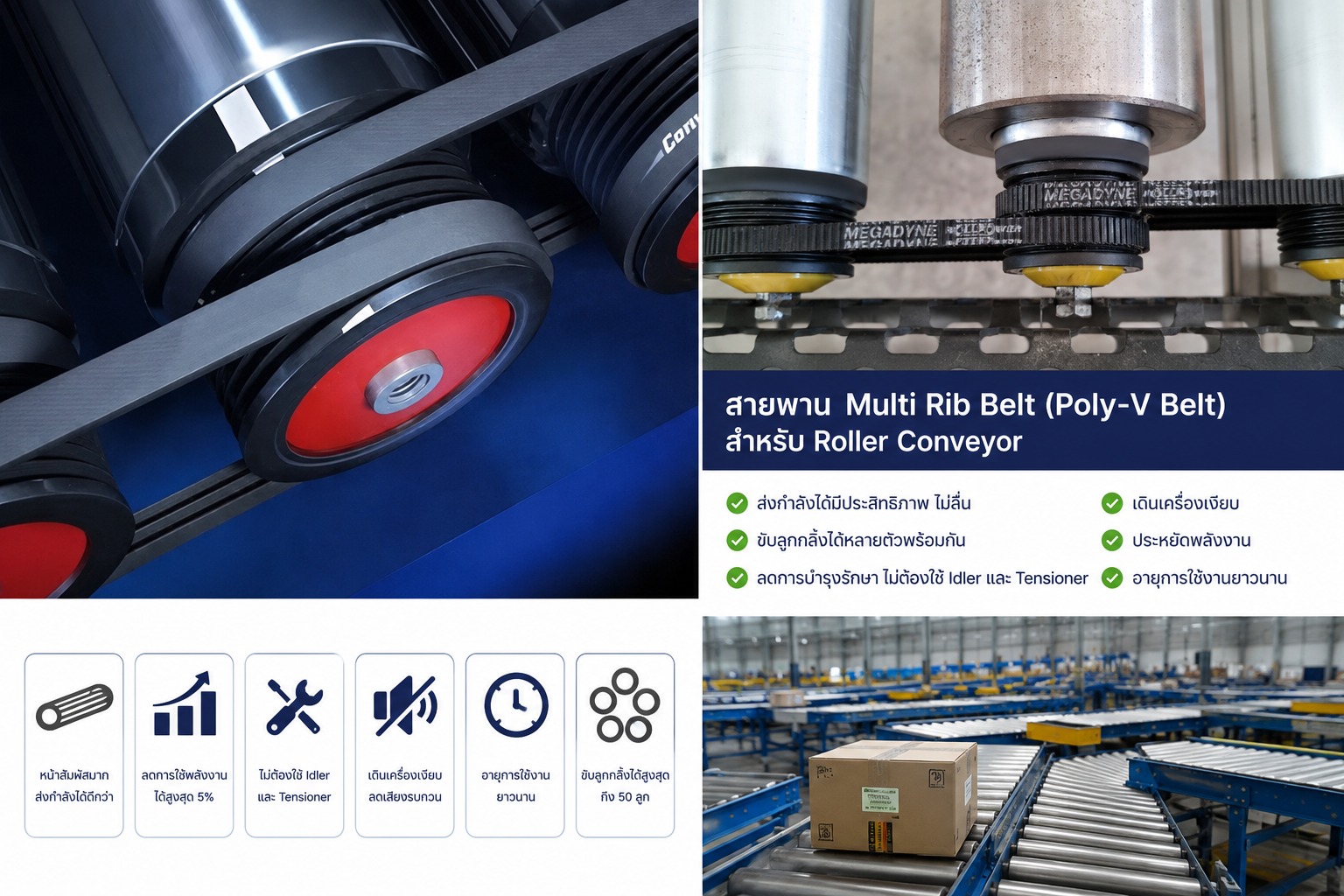 ทำความรู้จัก EPJ สำหรับงาน Roller Conveyor
