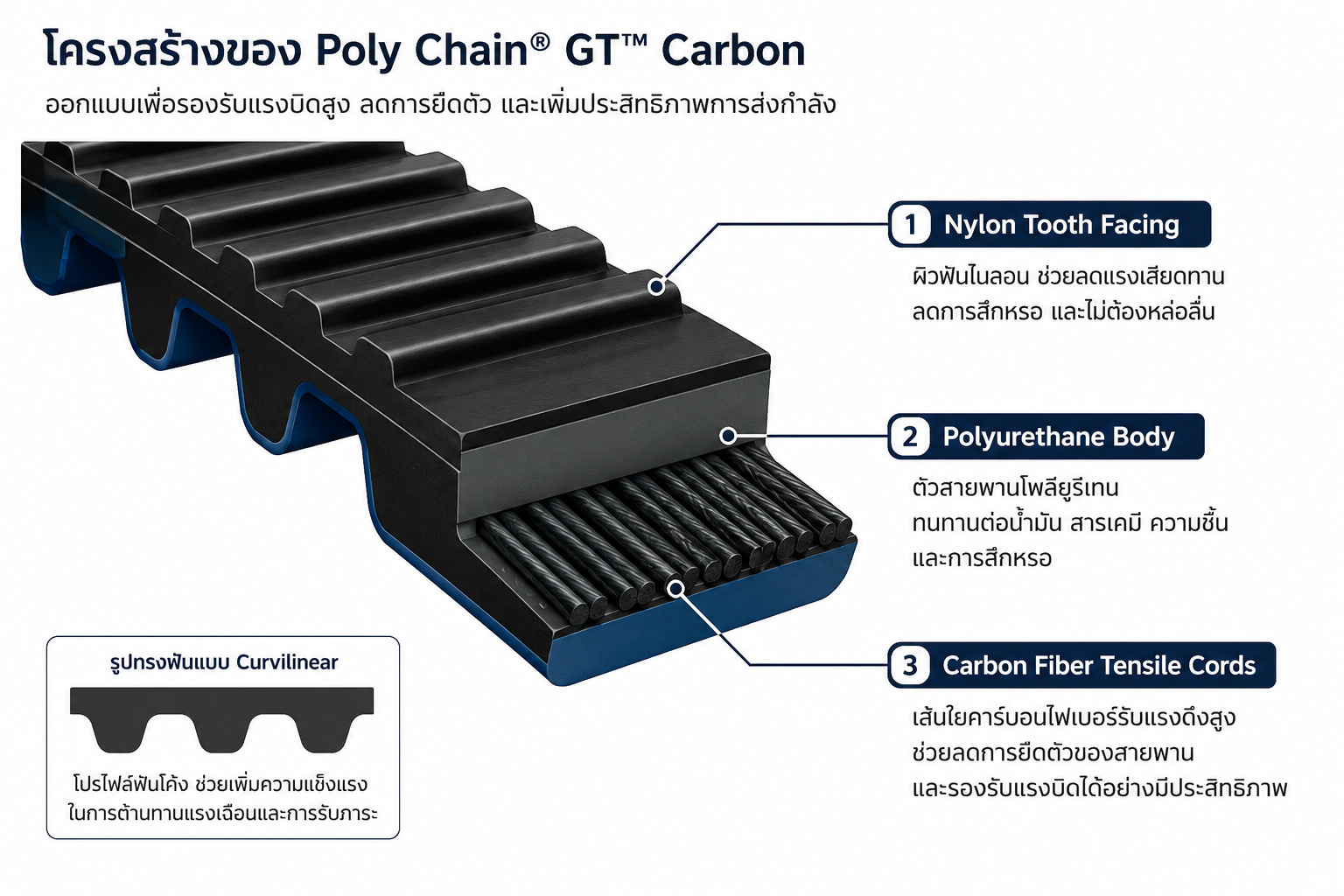 Poly Chain® GT  คืออะไร | ข้อดี การใช้งาน และเปรียบเทียบกับโซ่ Roller Chain