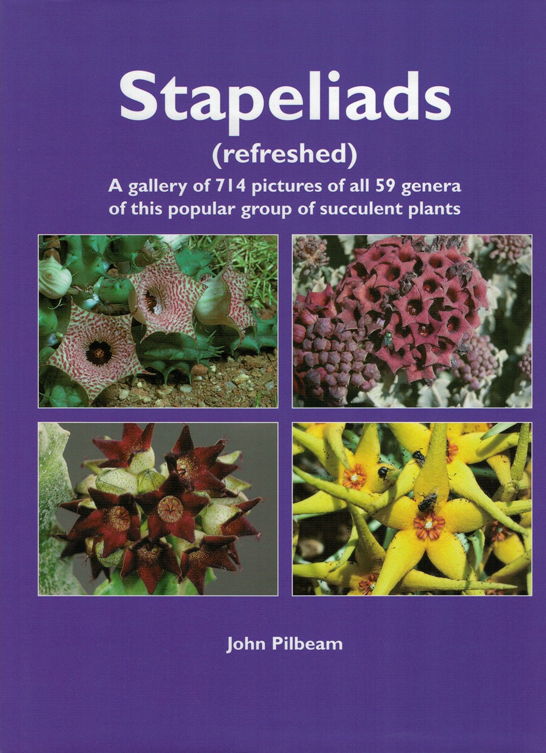 Stapeliads (Refreshed) (Eng)