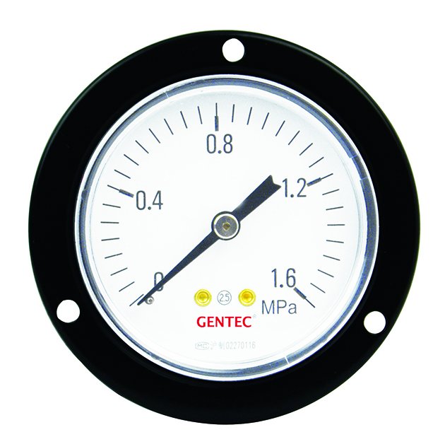 Gauges with valve tags GR2005-030V