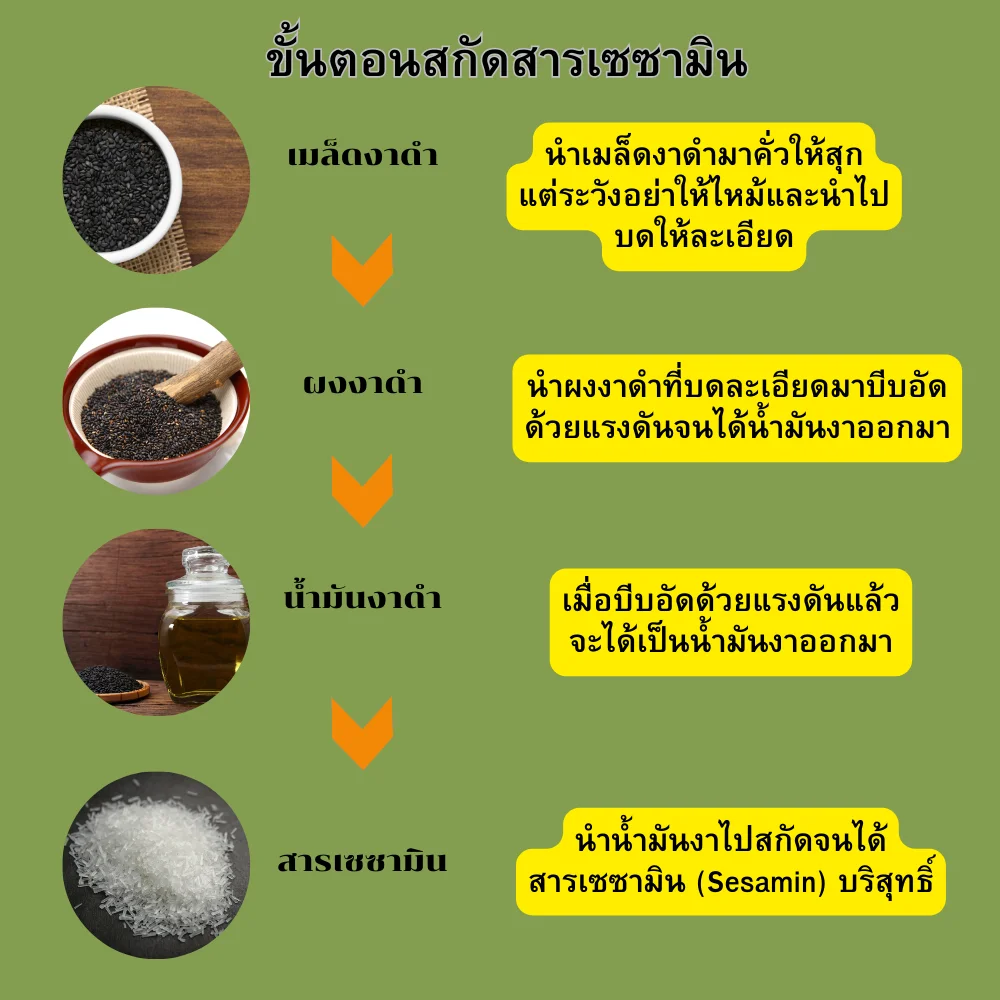 สารสกัดเซซามิน